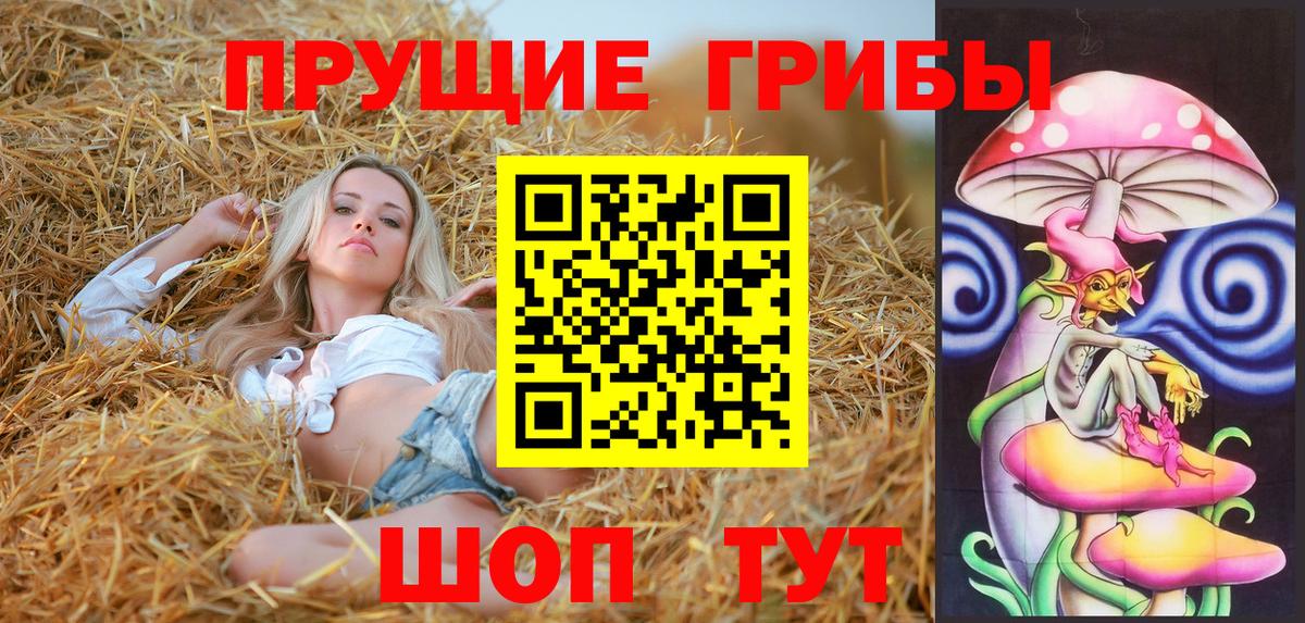 Искитим  Галлюциногенные грибы GOLDEN TEACHER  Вход с VPN 